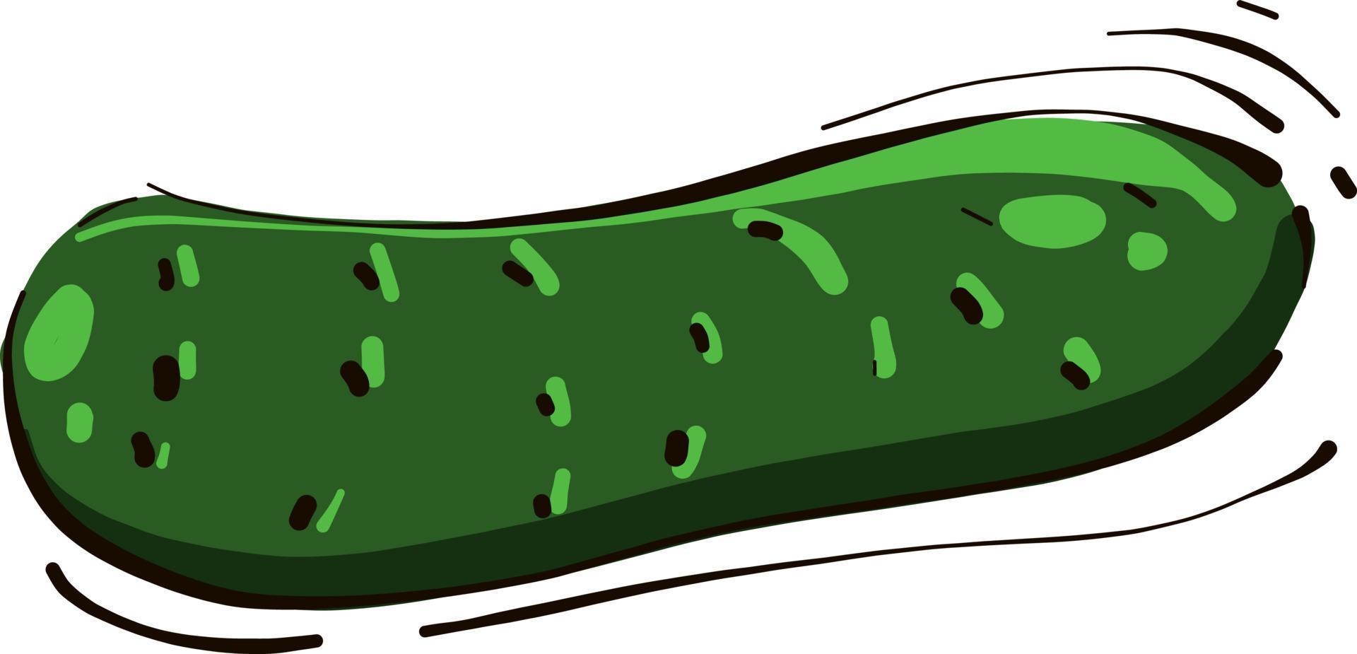 Green cucumber, illustration, vector on white background.