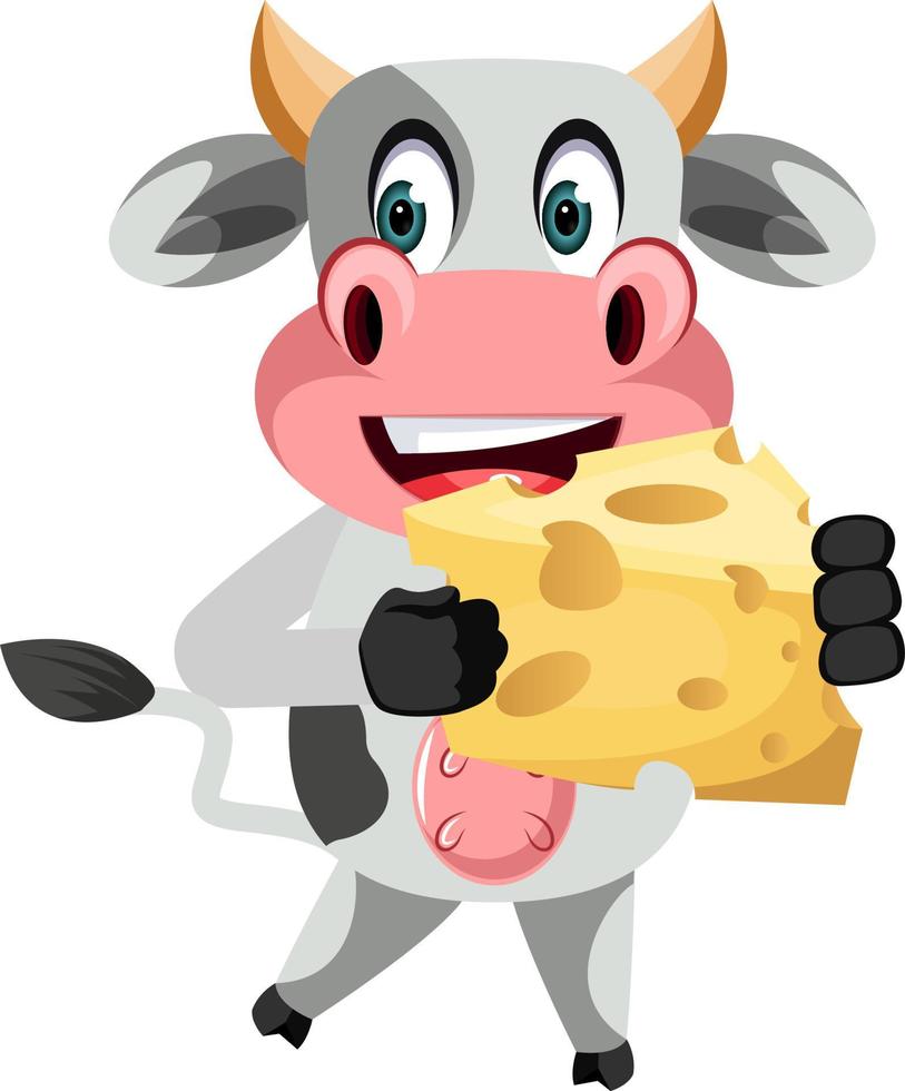 Cow with cheese, illustration, vector on white background.