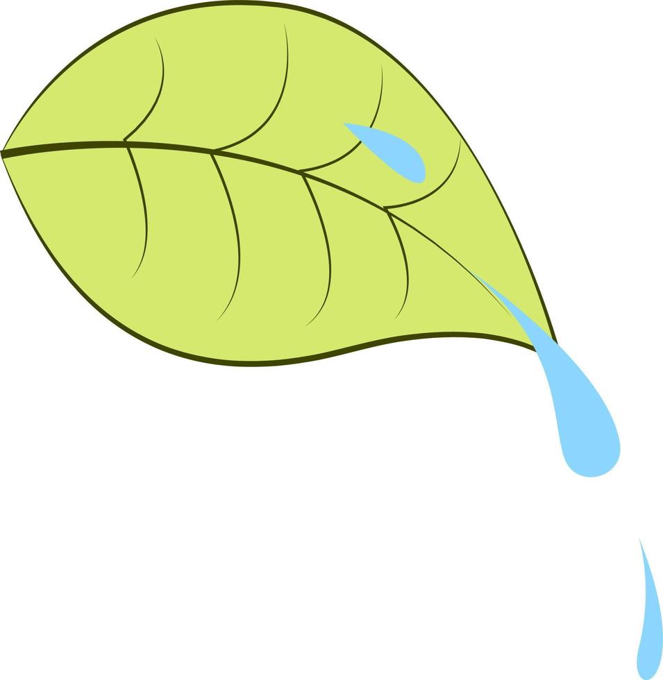 Morning dew, illustration, vector on white background.