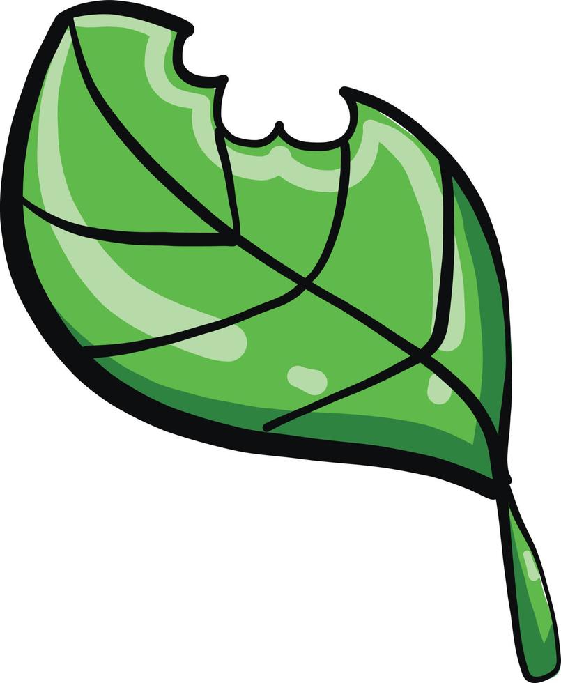 Bitten leaf, illustration, vector on a white background.