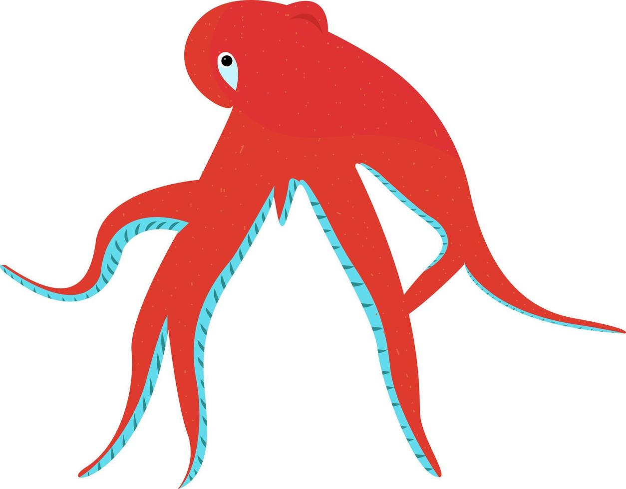 pulpo rojo, ilustración, vector sobre fondo blanco