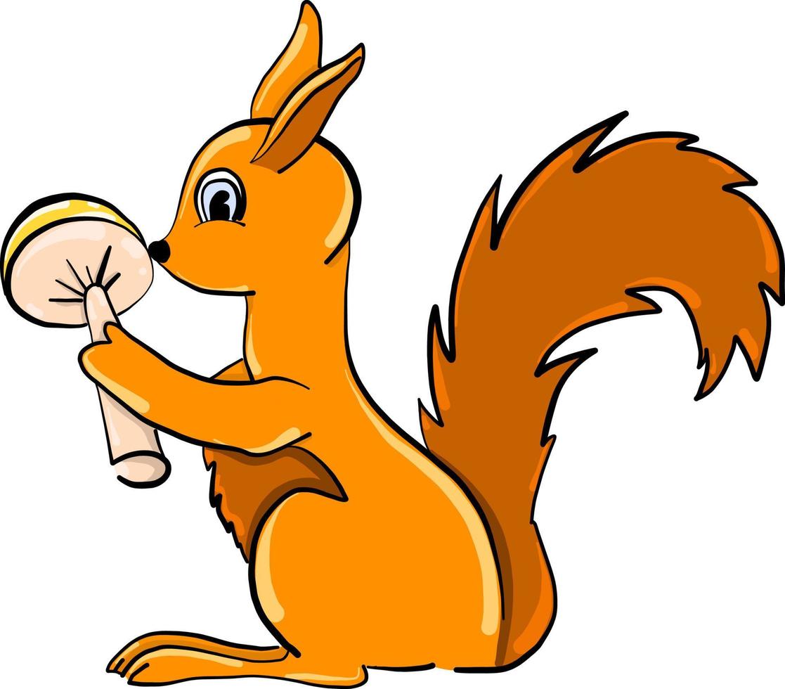 Squirrel with mushroom, illustration, vector on white background