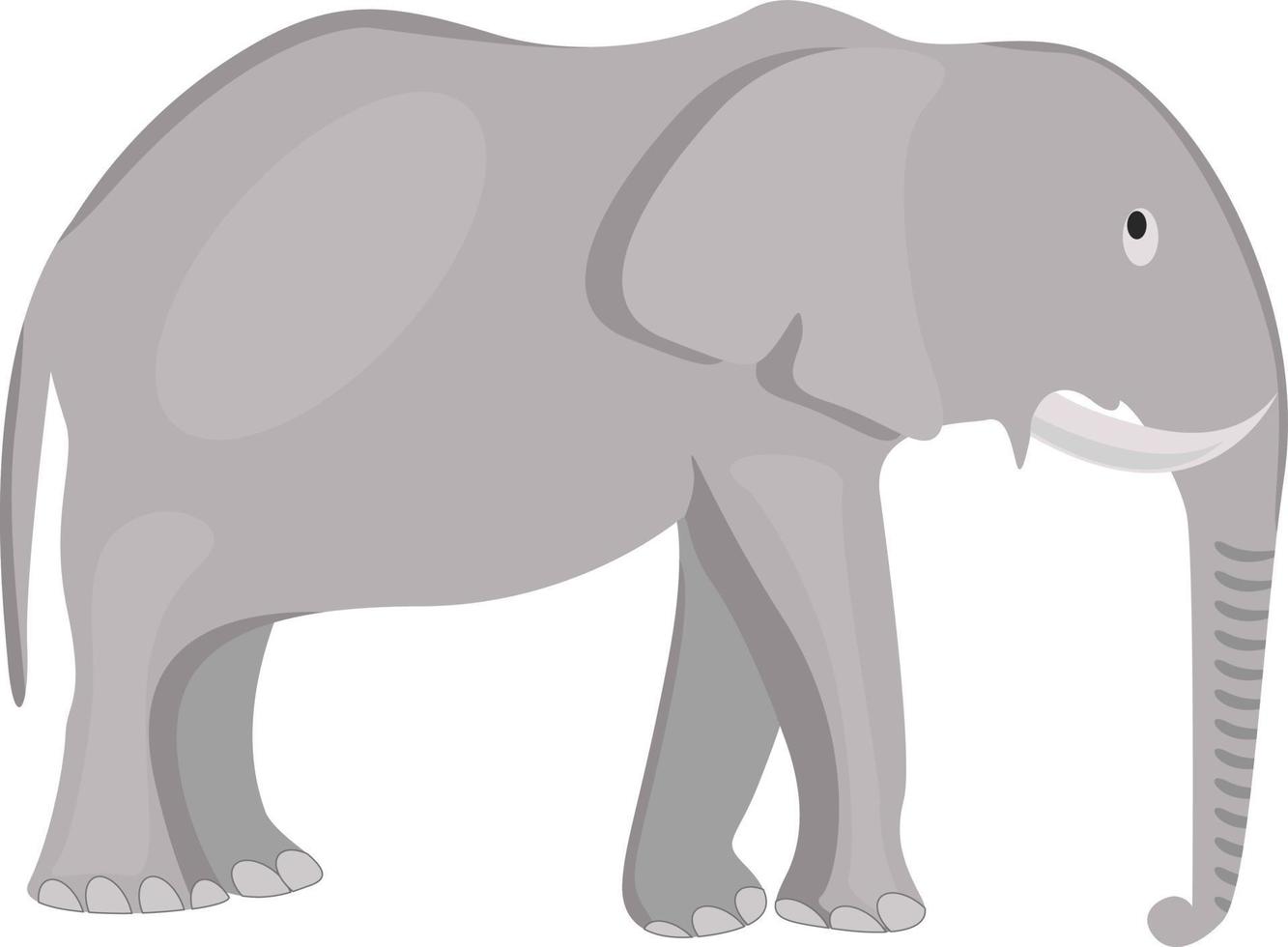 Elefante gris, ilustración, vector sobre fondo blanco.