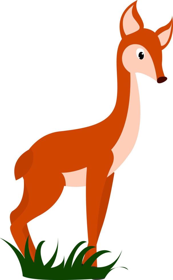 Little fawn, illustration, vector on white background.