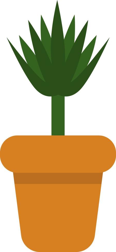 planta dracaena en una olla, ilustración de icono, vector sobre fondo blanco
