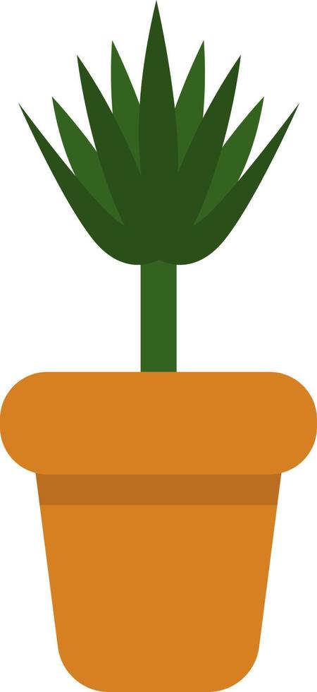 Dracaena plant in a pot, icon illustration, vector on white background