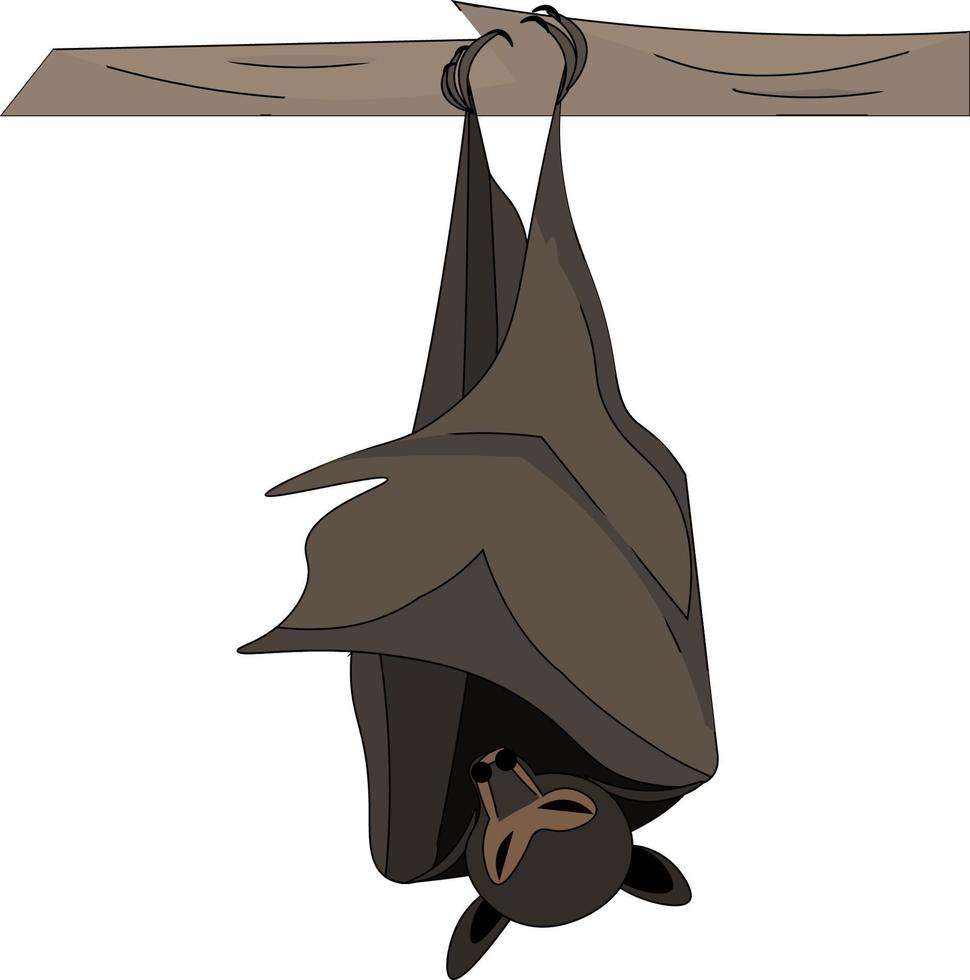 Bat sleeping on a branch, illustration, vector on white background.