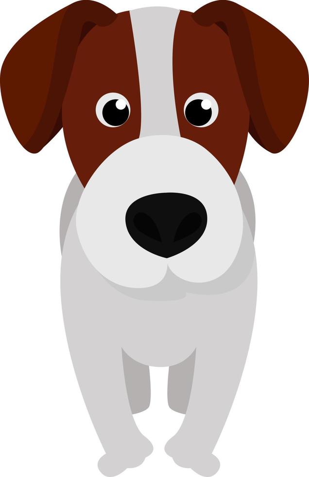 lindo cachorro, ilustración, vector sobre fondo blanco