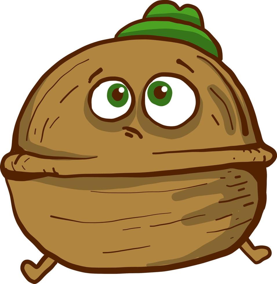 Walnut with green eyes, illustration, vector on a white background.