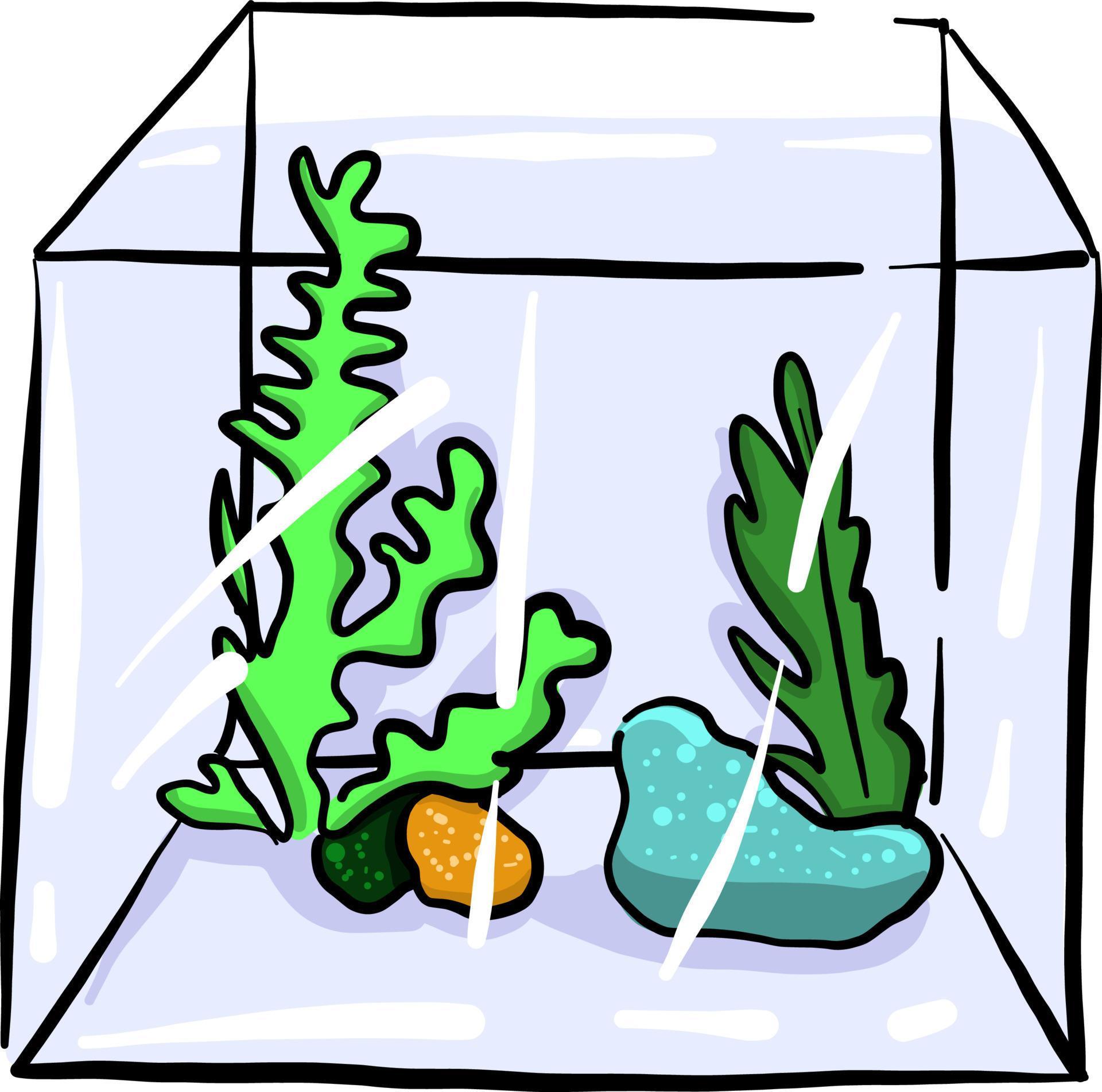 Aquarium without water , illustration, vector on white background