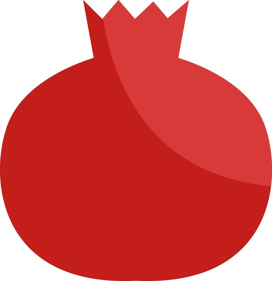 Red pomegranate, illustration, vector, on a white background. vector