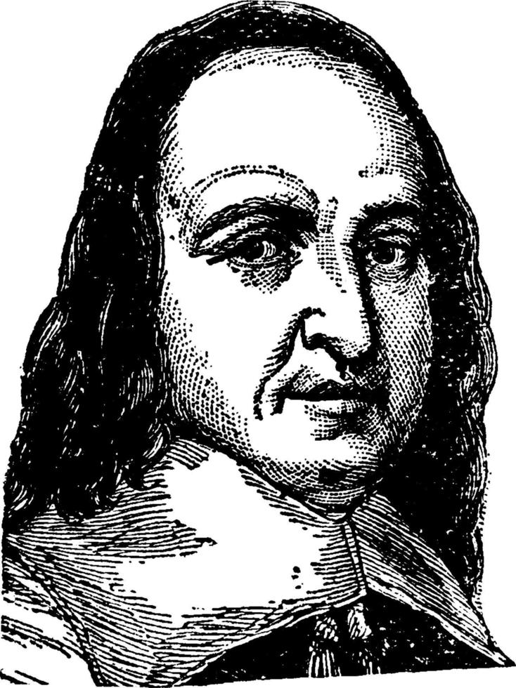 Peter Stuyvesant, vintage illustration vector