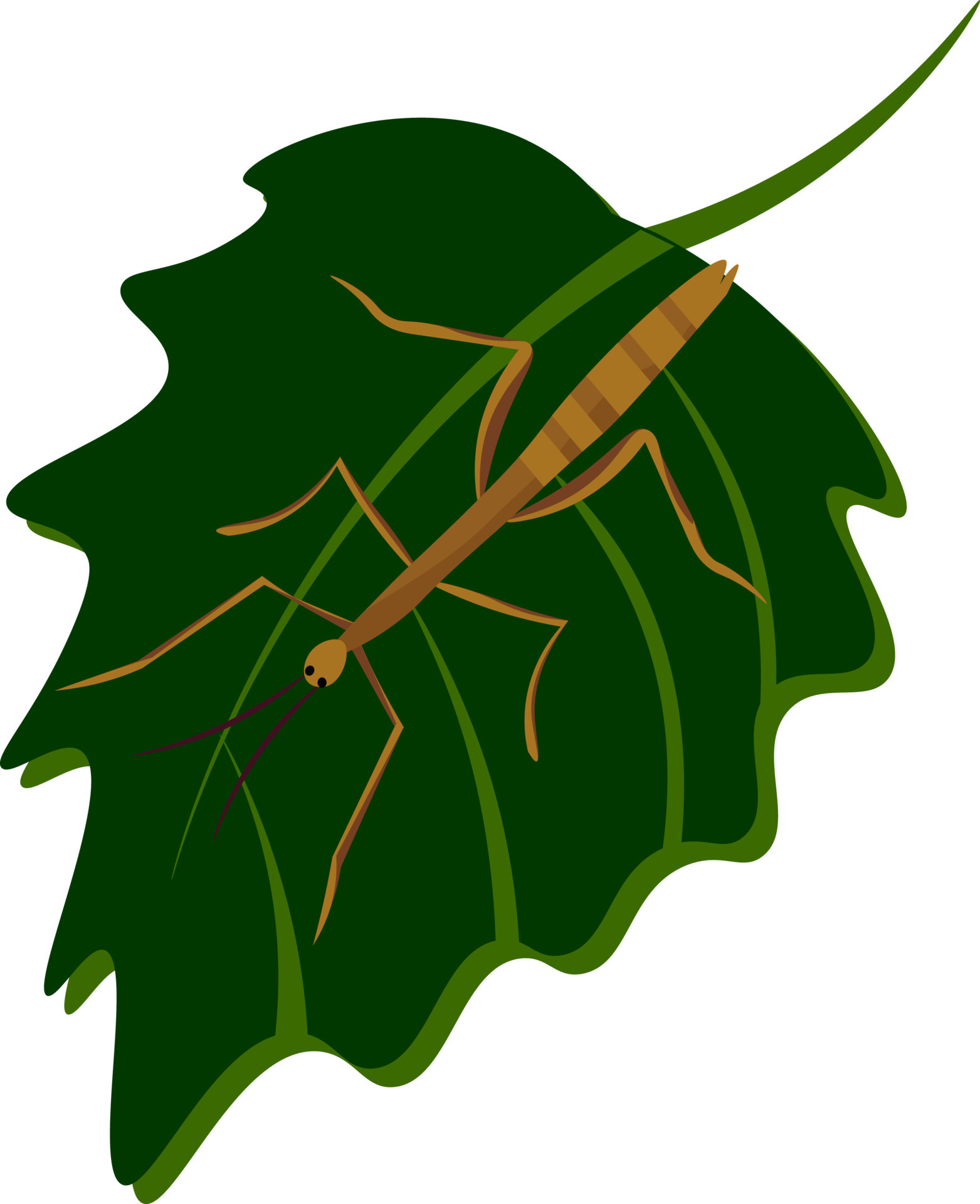Stick insect, illustration, vector on white background. 13748111 Vector