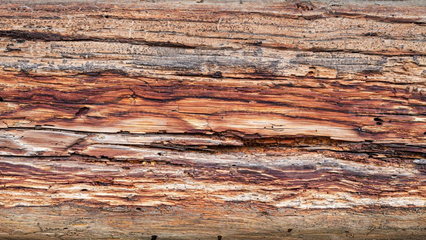 wooden background pattern for crafts or abstract art texture photo