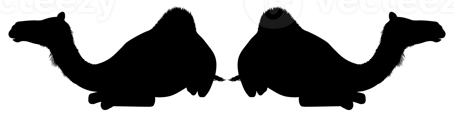 Camel Silhouette for Logo, Pictogram, Website, Apps, Art Illustration or Graphic Design Element. Format PNG