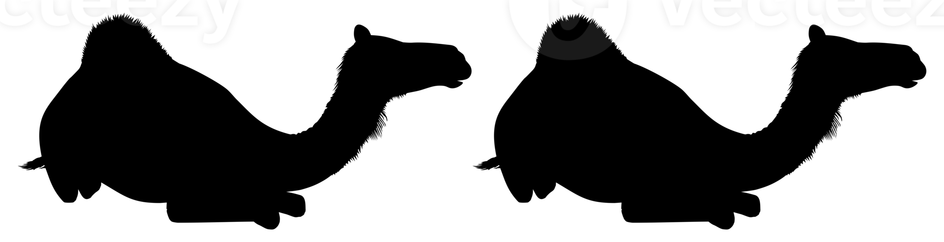 Camel Silhouette for Logo, Pictogram, Website, Apps, Art Illustration or Graphic Design Element. Format PNG