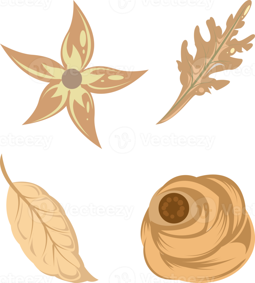 dry flower and leaf plant element ornament illustration png