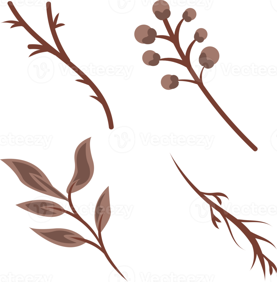 impostato di Marrone secco pianta gambi e le foglie floreale modello telaio elemento illustrazione png