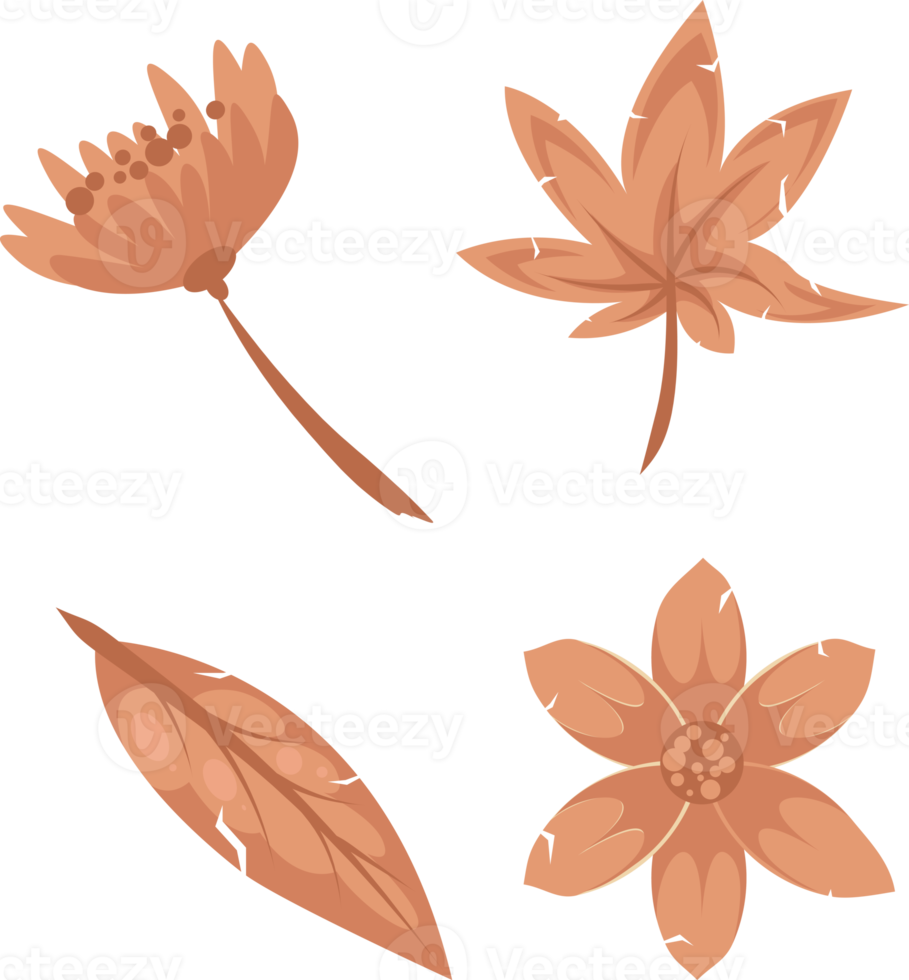 set of wilted leaves withered dry plant or flower element floral illustration png