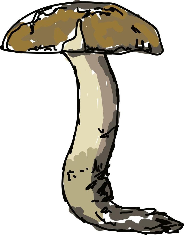 Mushroom in woods, illustration, vector on white background.