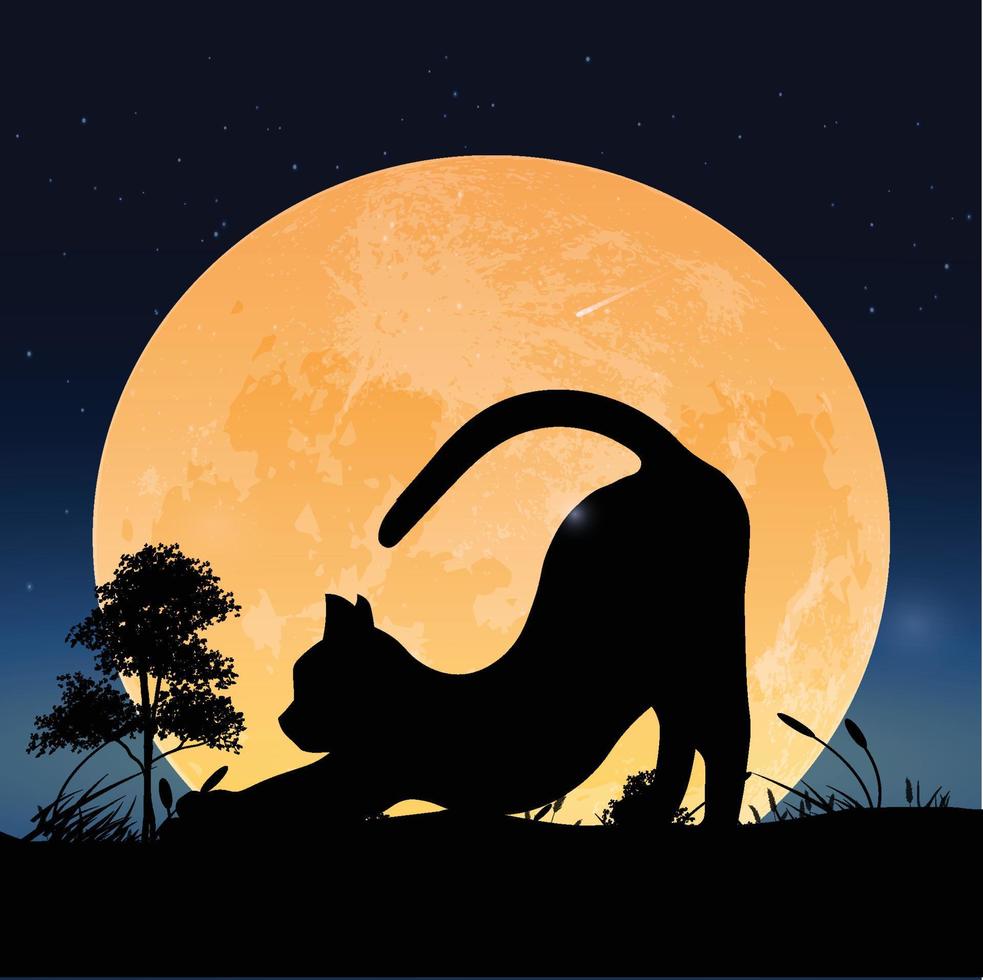 Silhouette a pulling cat on moon vector