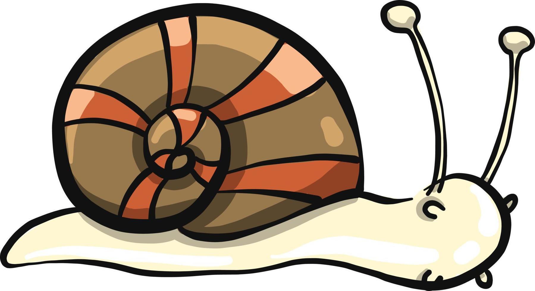 Small snail, illustration, vector on a white background.