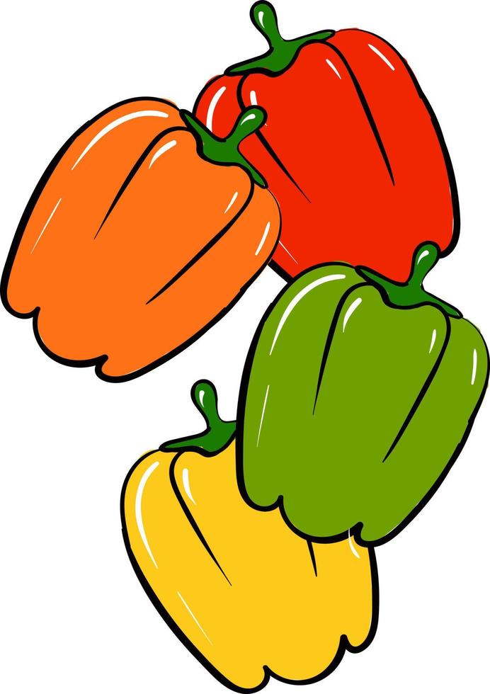 pimientos multicolores, ilustración, vector sobre fondo blanco.