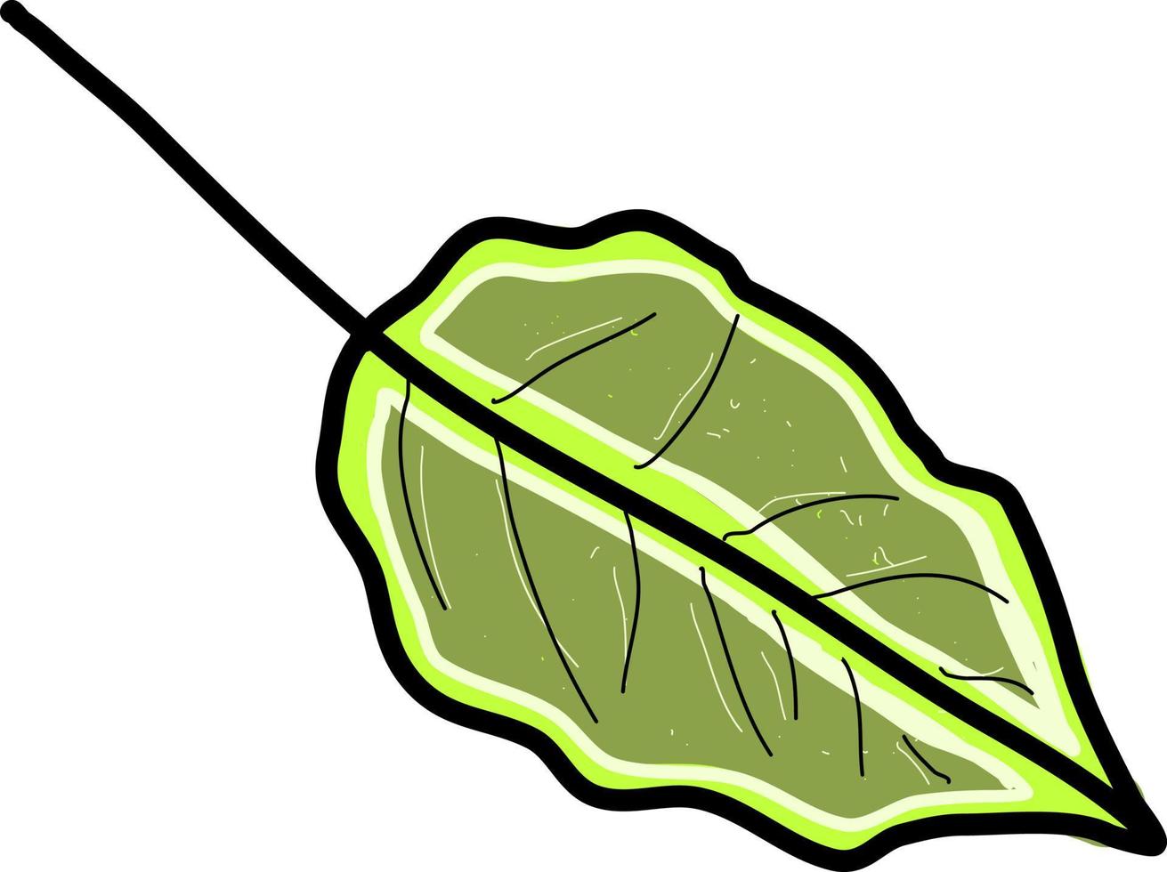 Green amazing leaf, illustration, vector on white background.