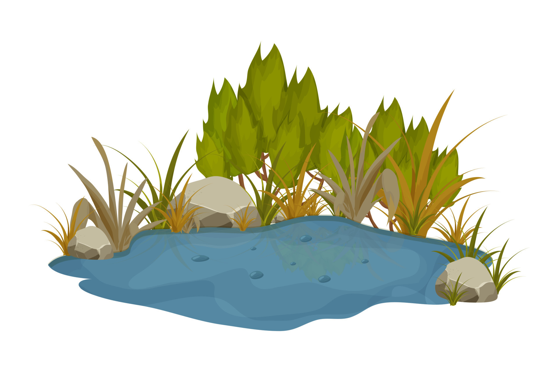 Lake, swamp with stones, bulrush lily leaves in cartoon style isolated on white background. Forest fantasy scene, wild nature. Vector illustration 13750156 Vector Art at Vecteezy Lake, swamp with stones, bulrush lily leaves in cartoon style isolated on white background. Forest fantasy scene, wild nature. Vector illustration 13750156 Vector Art at Vecteezy