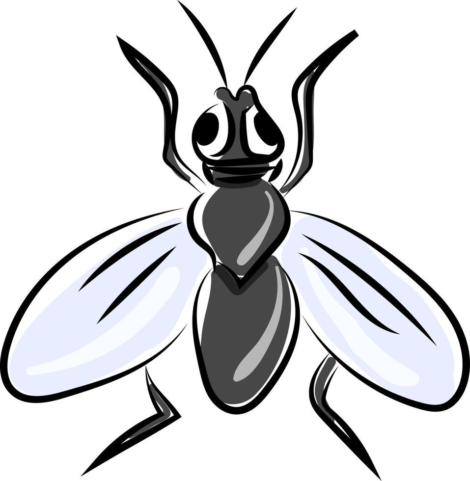 mosca plana, ilustración, vector sobre fondo blanco.