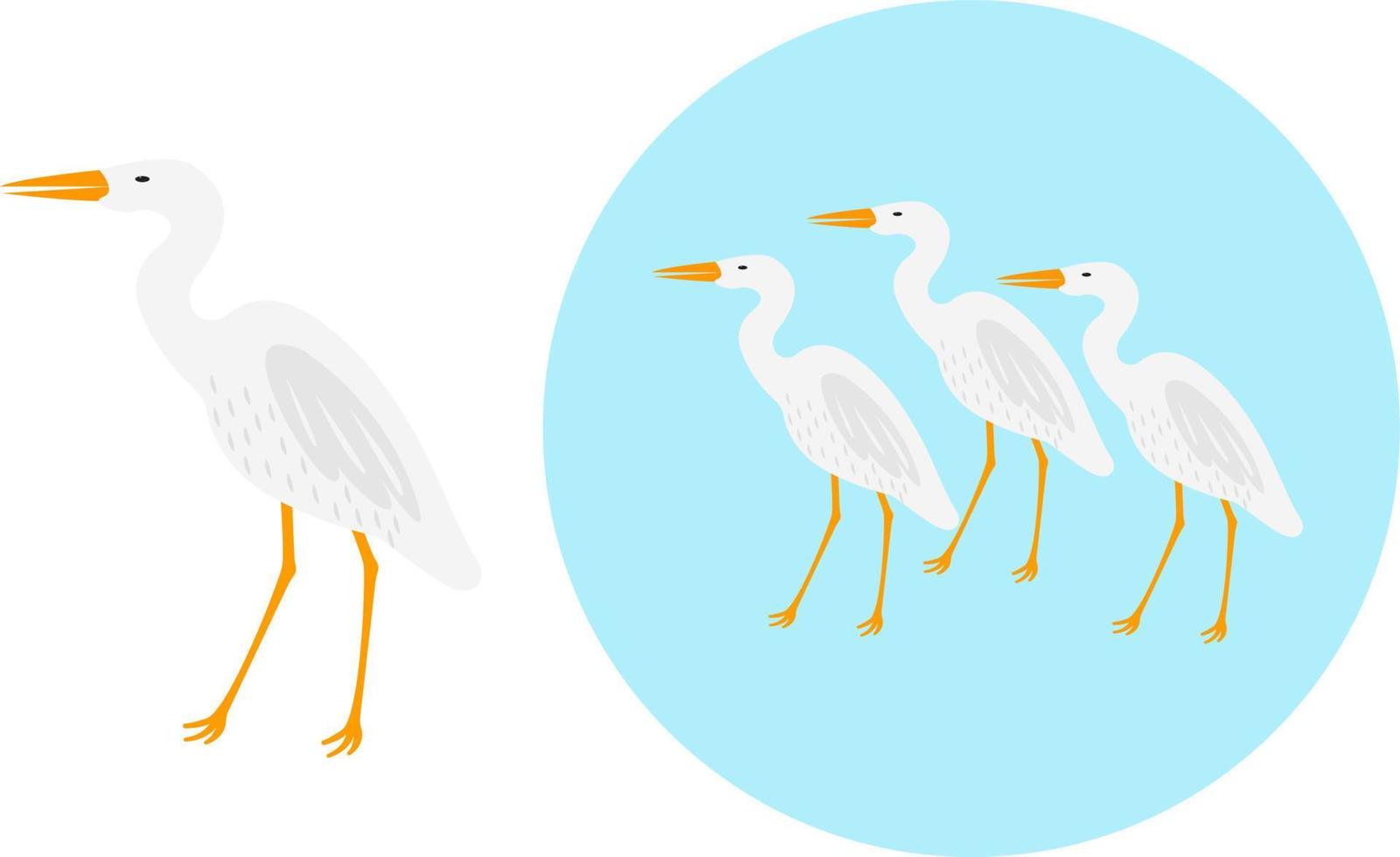 White heron ,illustration, vector on white background.