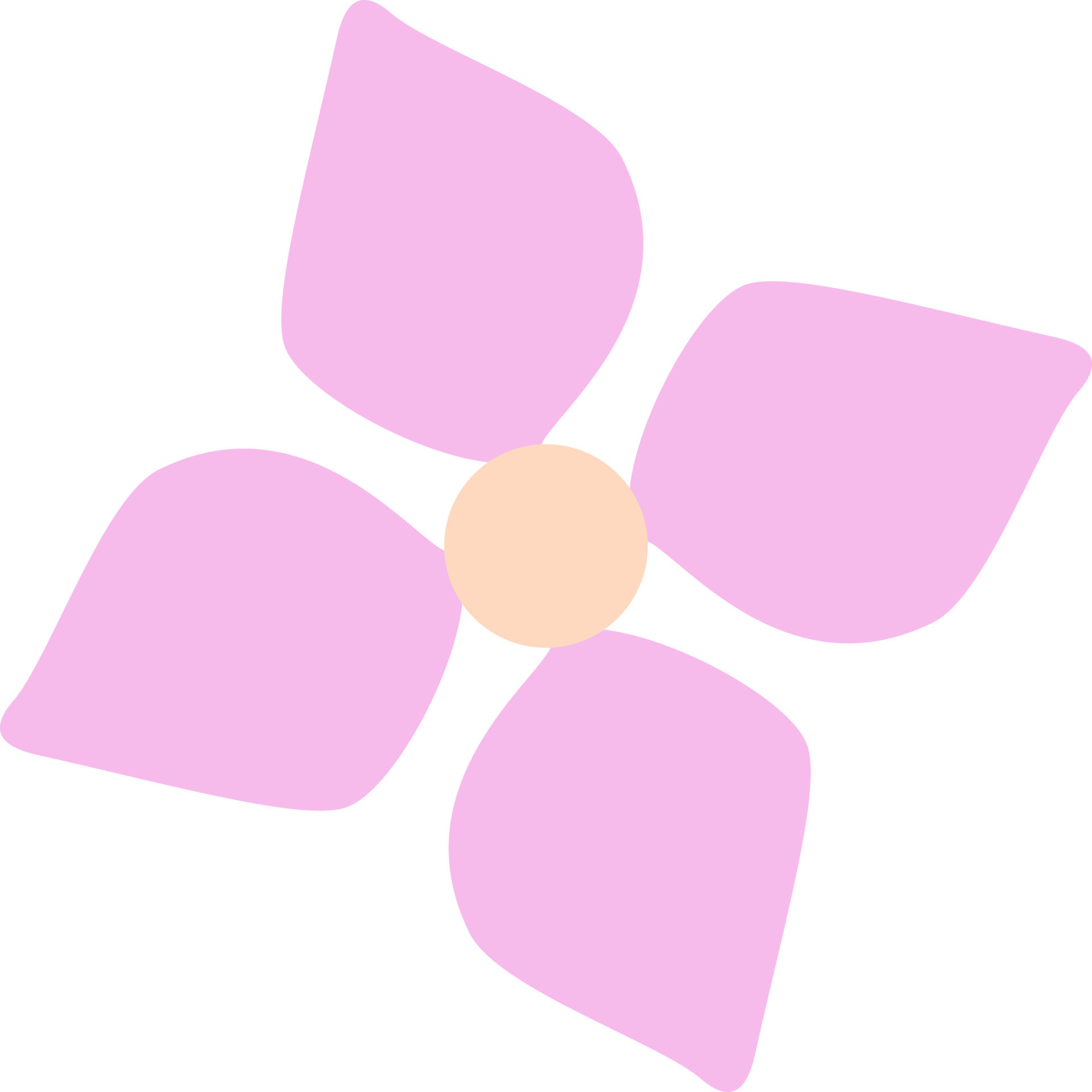 Pink flower with four petals, illustration, vector, on a white