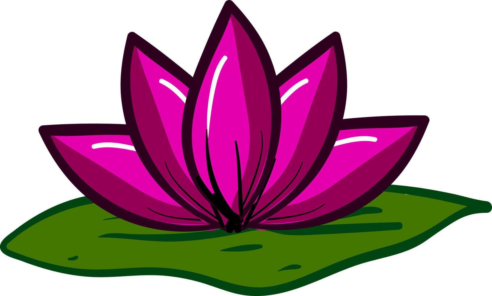 Pink lotus flower, illustration, vector on white background.