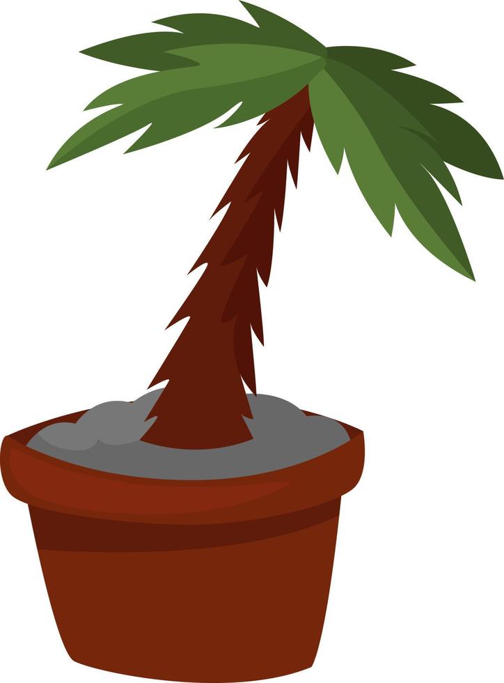 Palm in the pot, illustration, vector on a white background.