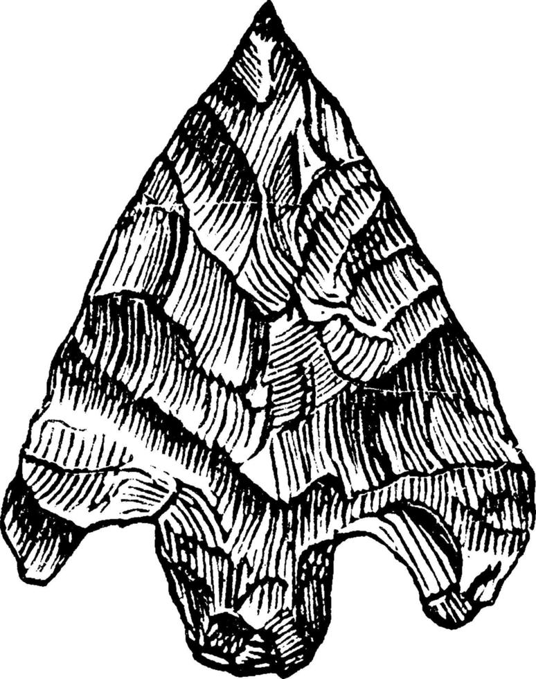 Norse Arrowhead, vintage illustration. vector