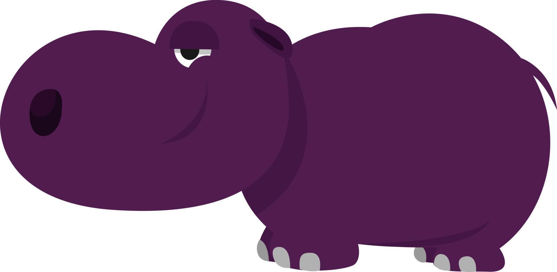 hipopótamo púrpura, ilustración, vector sobre fondo blanco