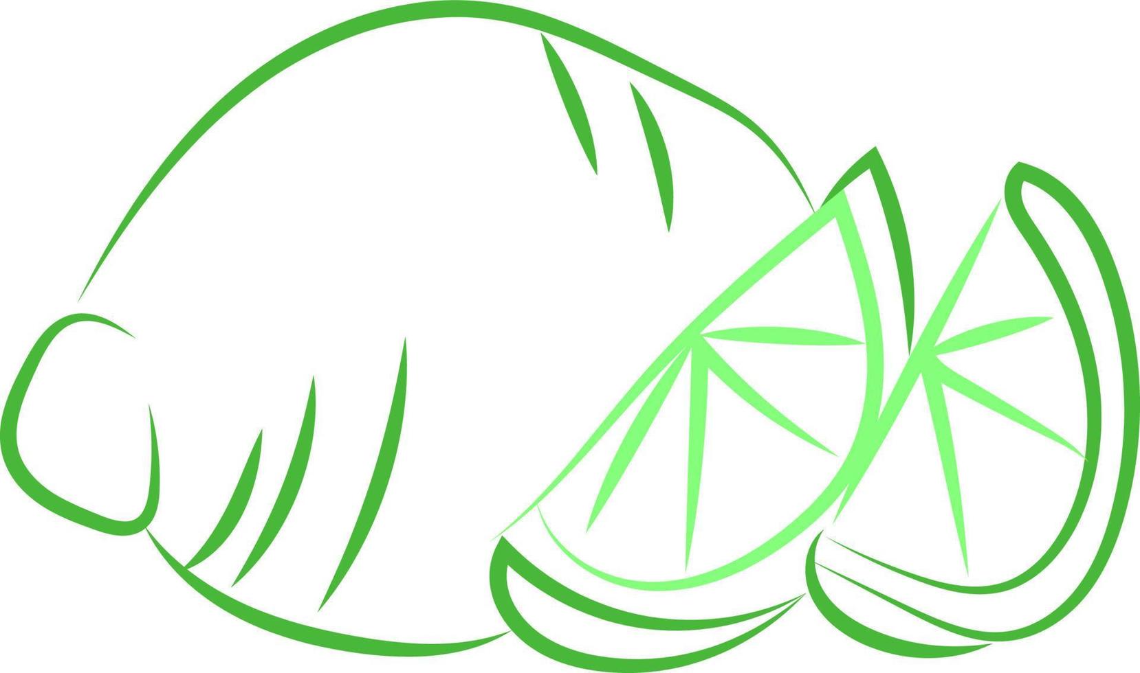 Green lime drawing, illustration, vector on white background.