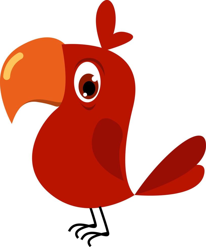 Red parrot, illustration, vector on white background.