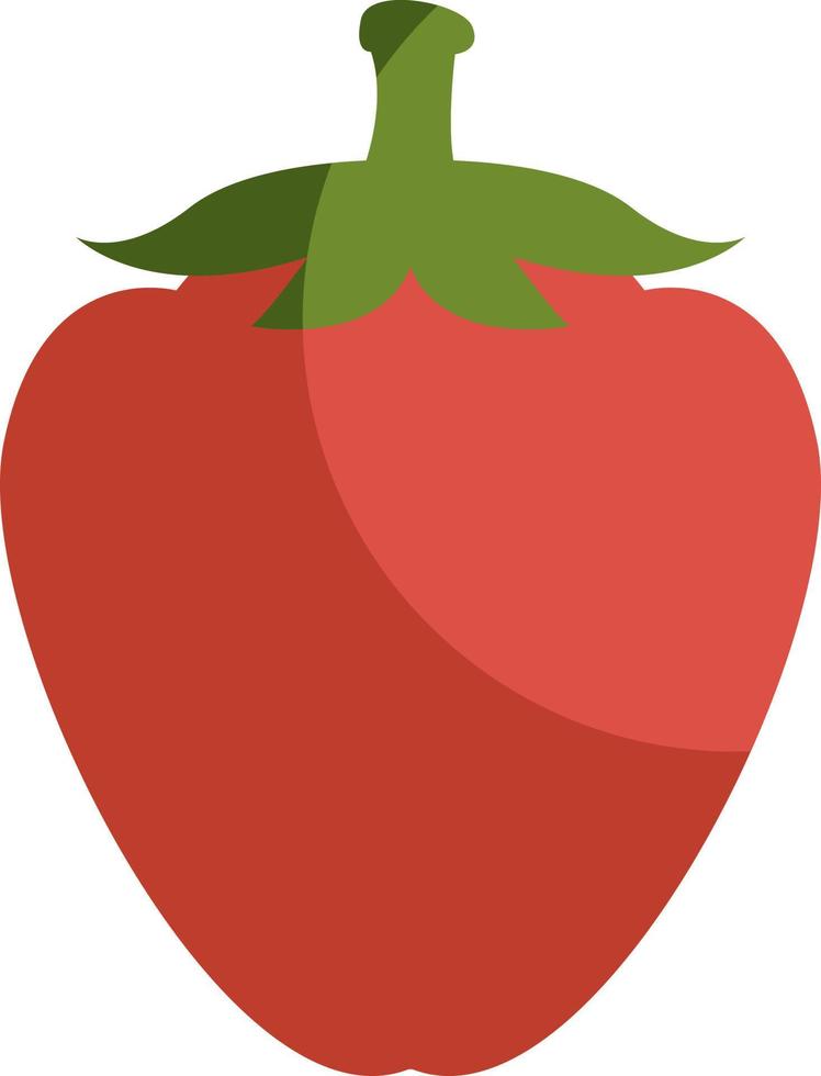 Red bell pepper, illustration, vector on a white background.