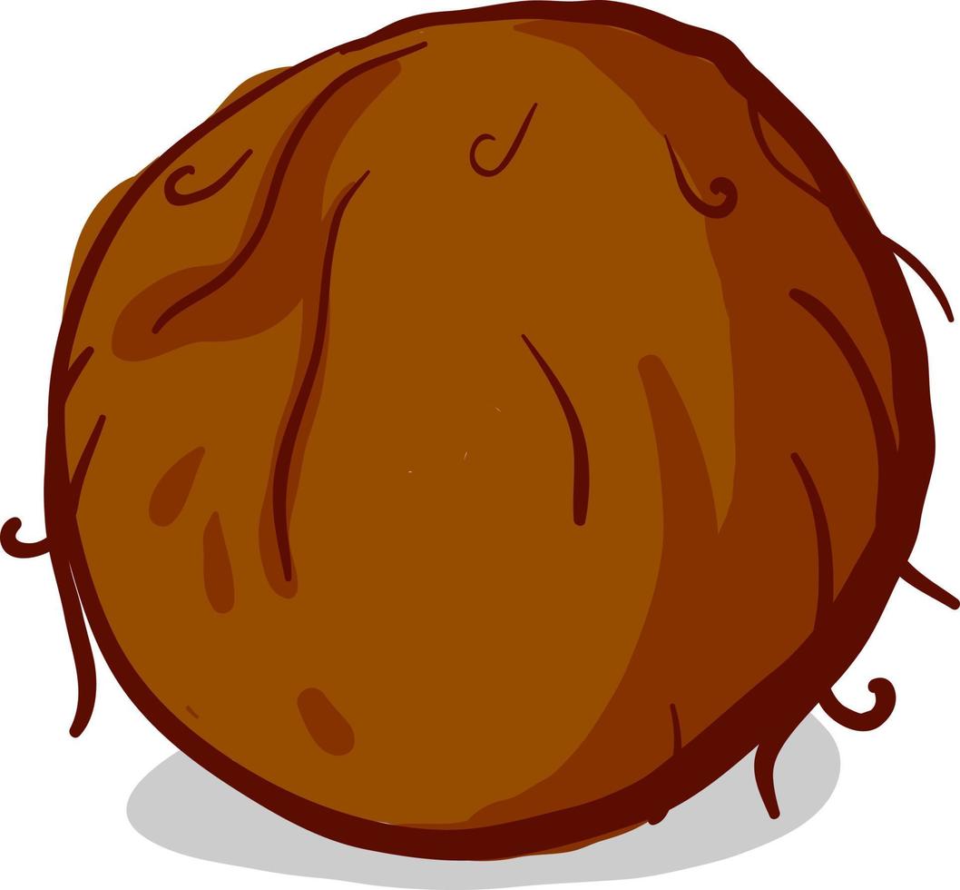 Fresh coconut, illustration, vector on white background.