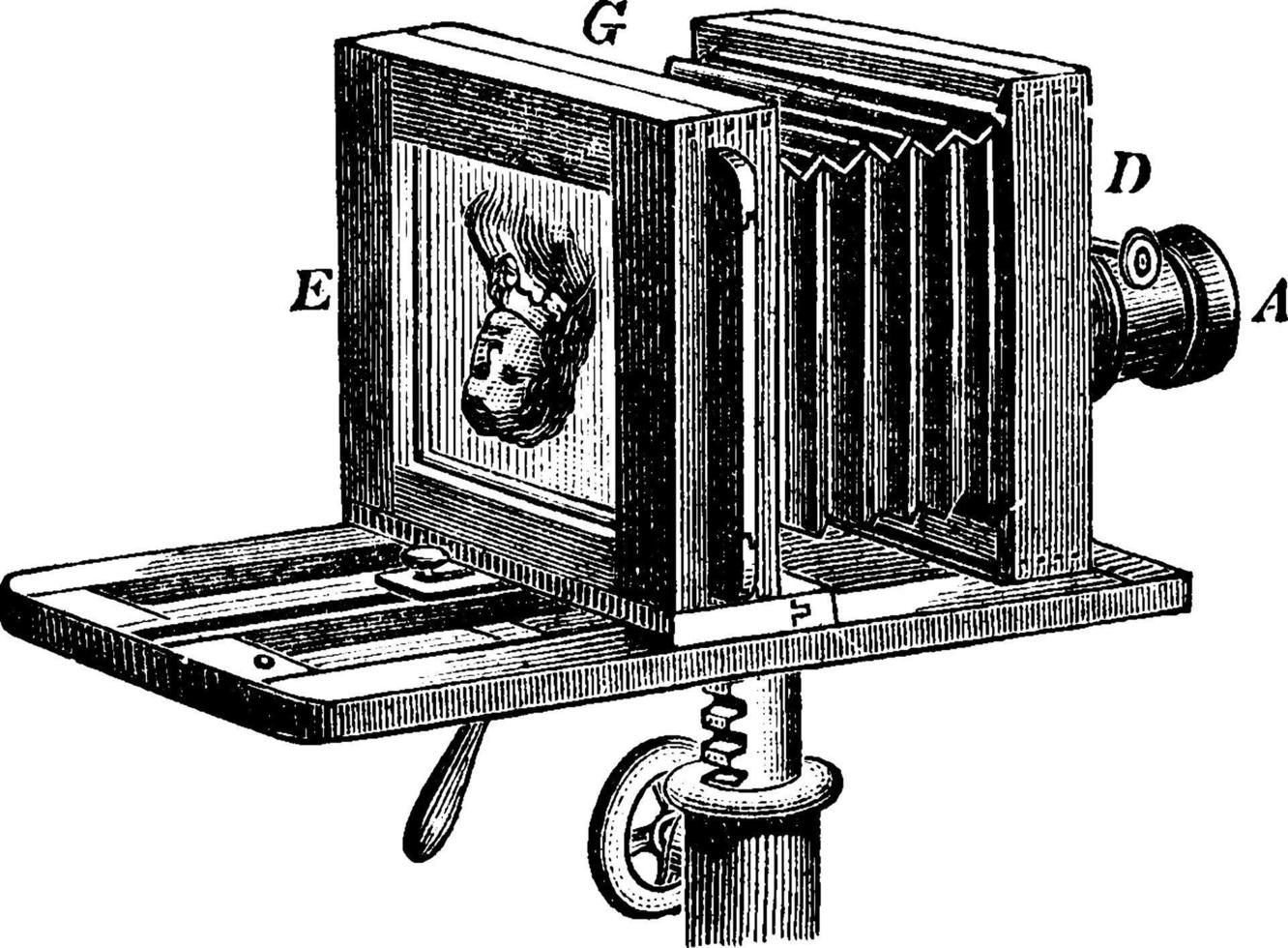 Bellows Camera, vintage illustration. vector