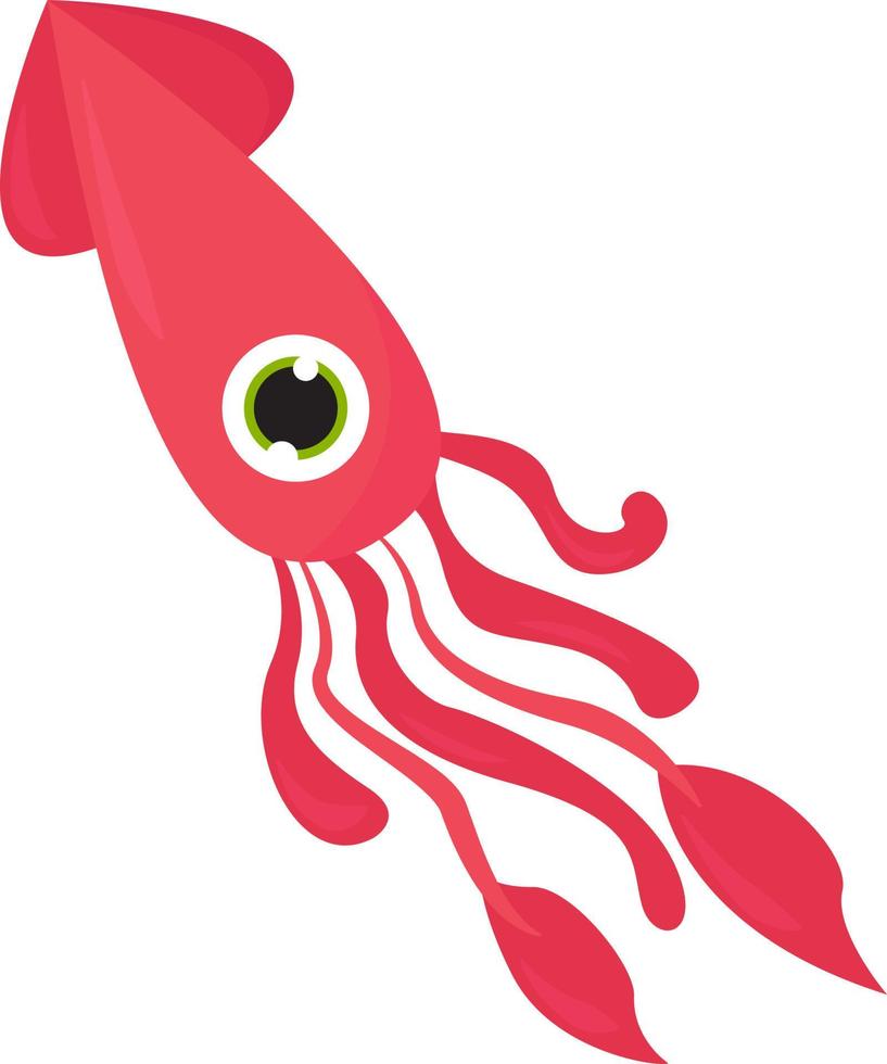 One eyed squid, illustration, vector on a white background.