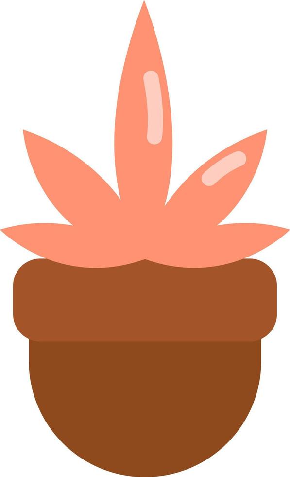 Home plant in a pot, illustration, vector on a white background