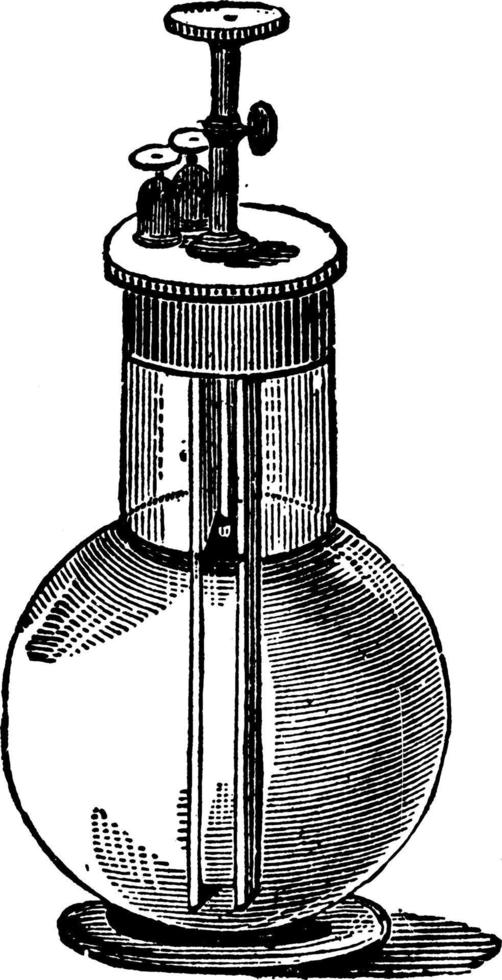 célula verde, ilustración vintage. vector
