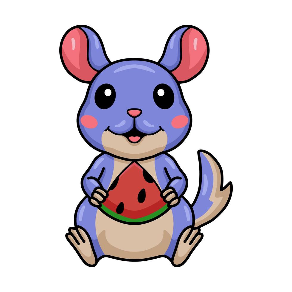 Cute little chinchilla cartoon eating watermelon vector