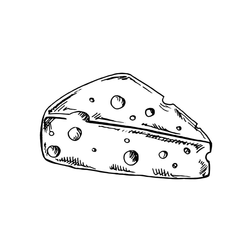 Hand drawn sketch piece of cheese. Vector black and white vintage illustration. Isolated object on white background.