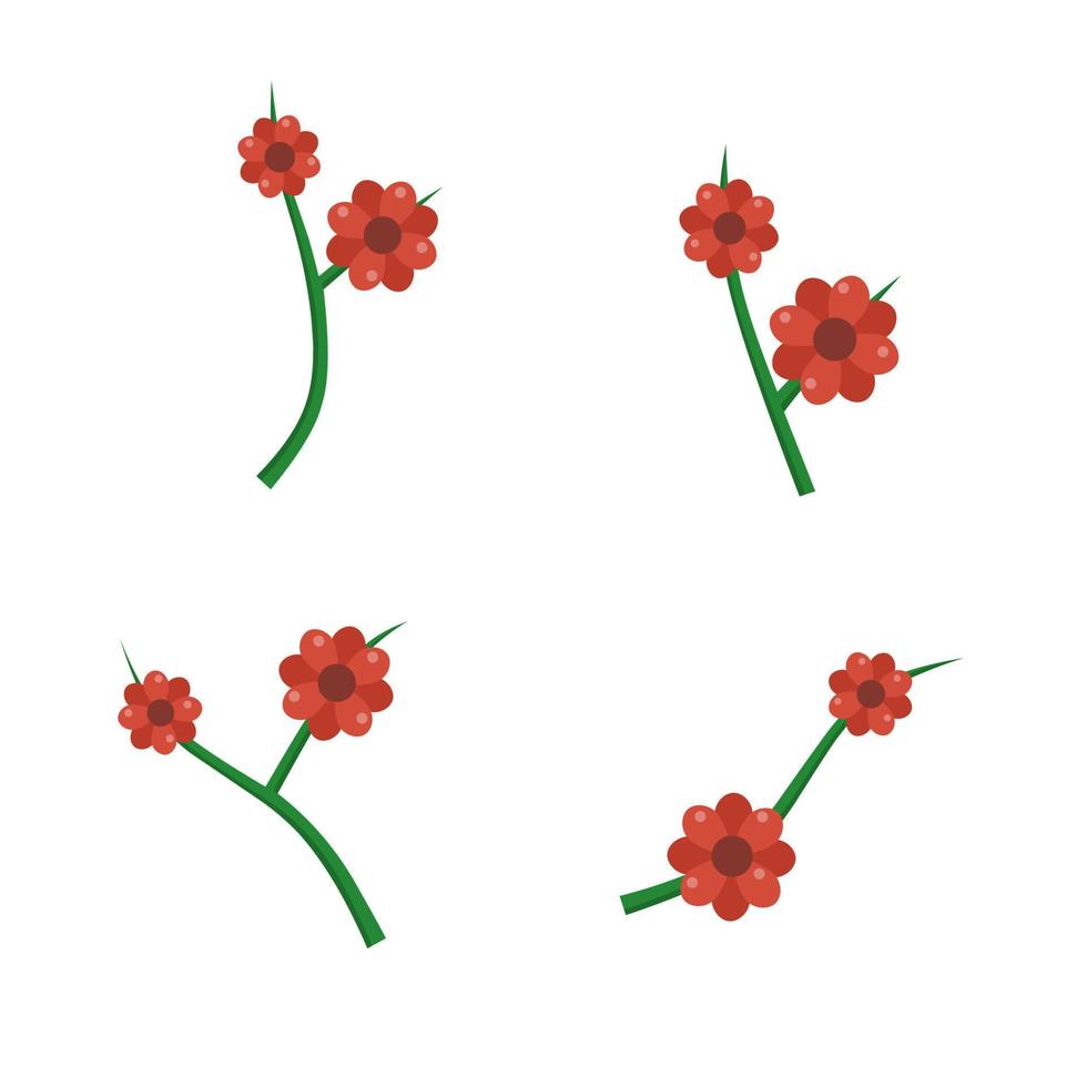 set of red flowers isolated on white background vector