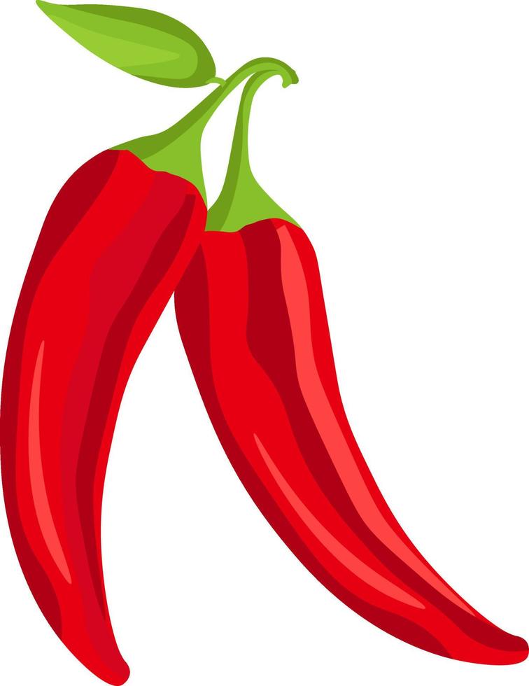 Spicy pepper, illustration, vector on white background