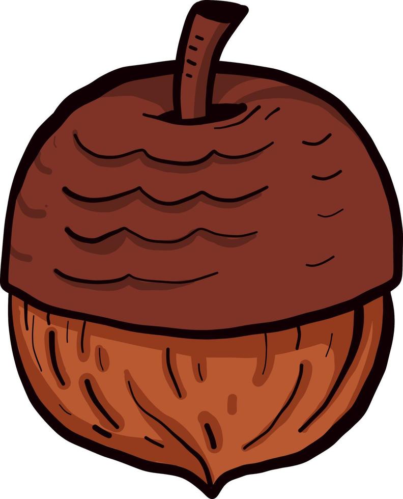 Brown acorn, illustration, vector on a white background.