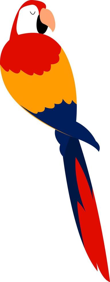 Scarlet macaw, illustration, vector on white background.